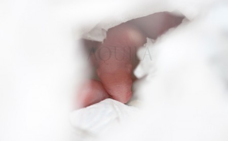 Babys ! Born 04/07/2014